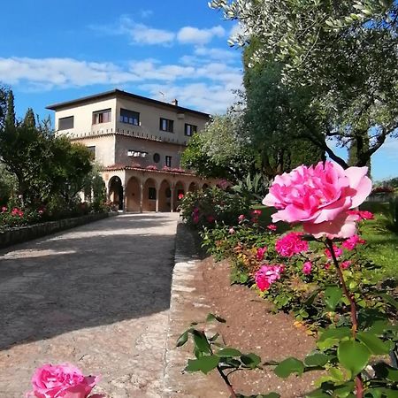 Villa Paradiso Sirmione Exterior photo