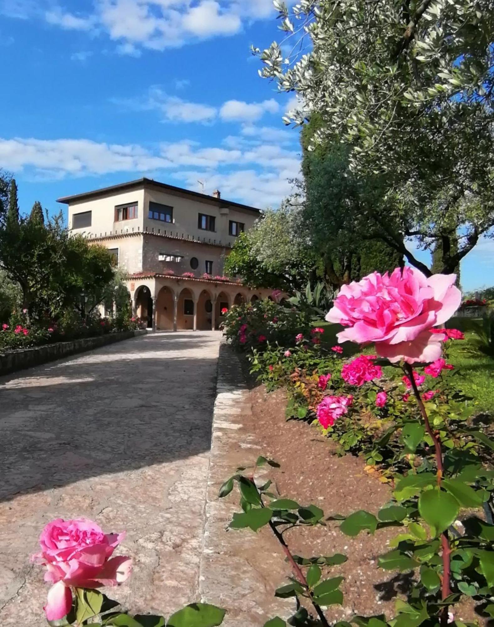 Villa Paradiso Sirmione Exterior photo